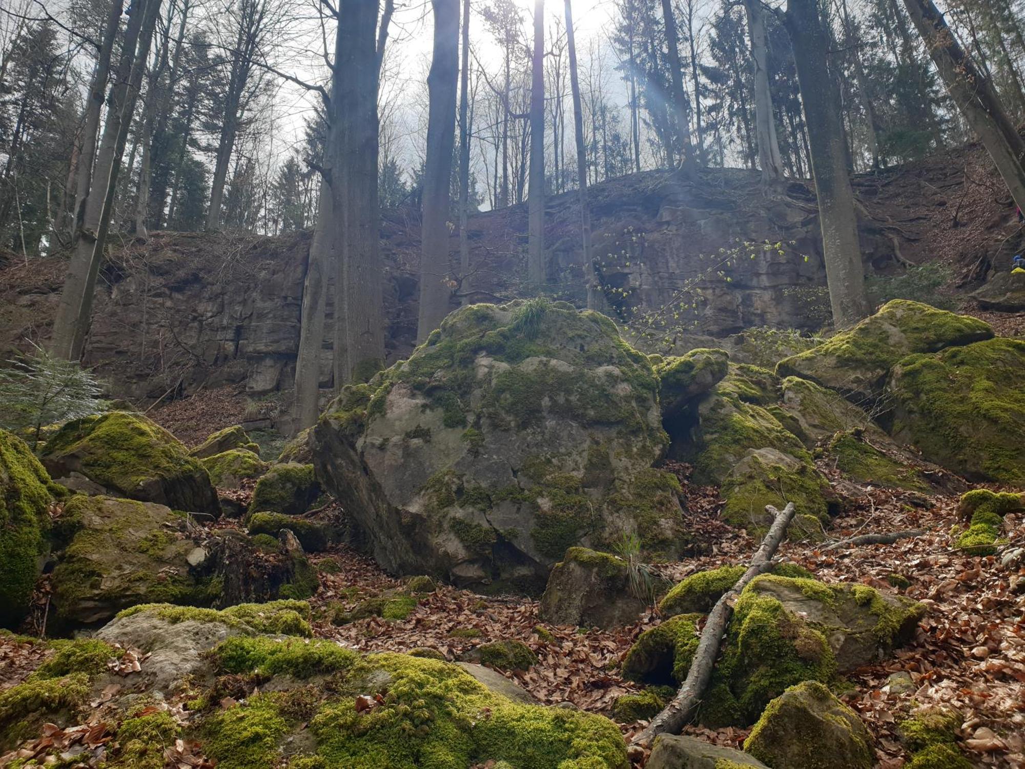 Fornsbachblick * Murrhardt